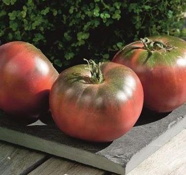 Tomaten, Foto von Blumen Böswirth
