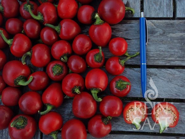 Paprikas, Foto von Blumen Böswirth