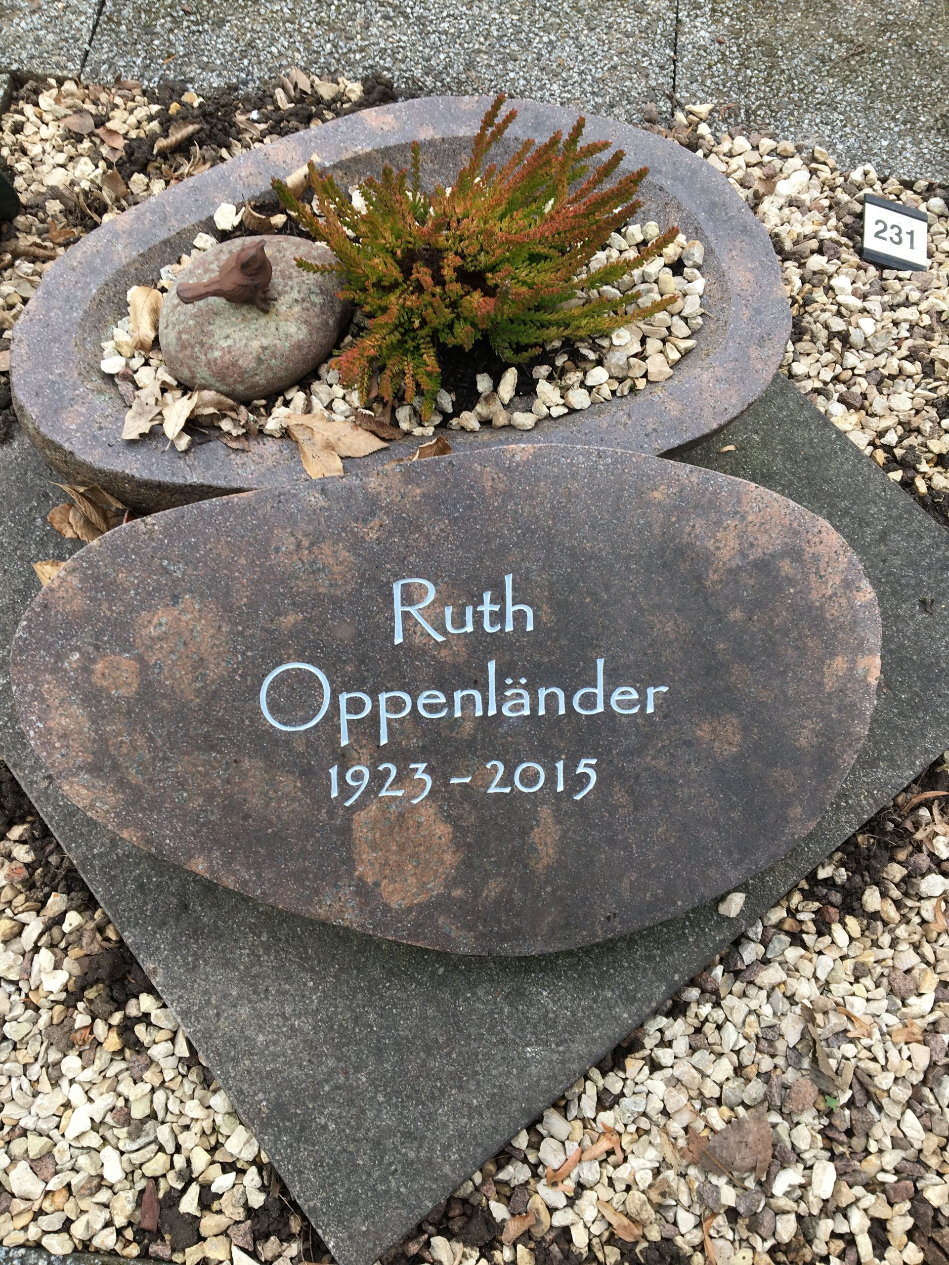Ein Grabstein für Ruth Oppenlander mit einer Pflanze darin.