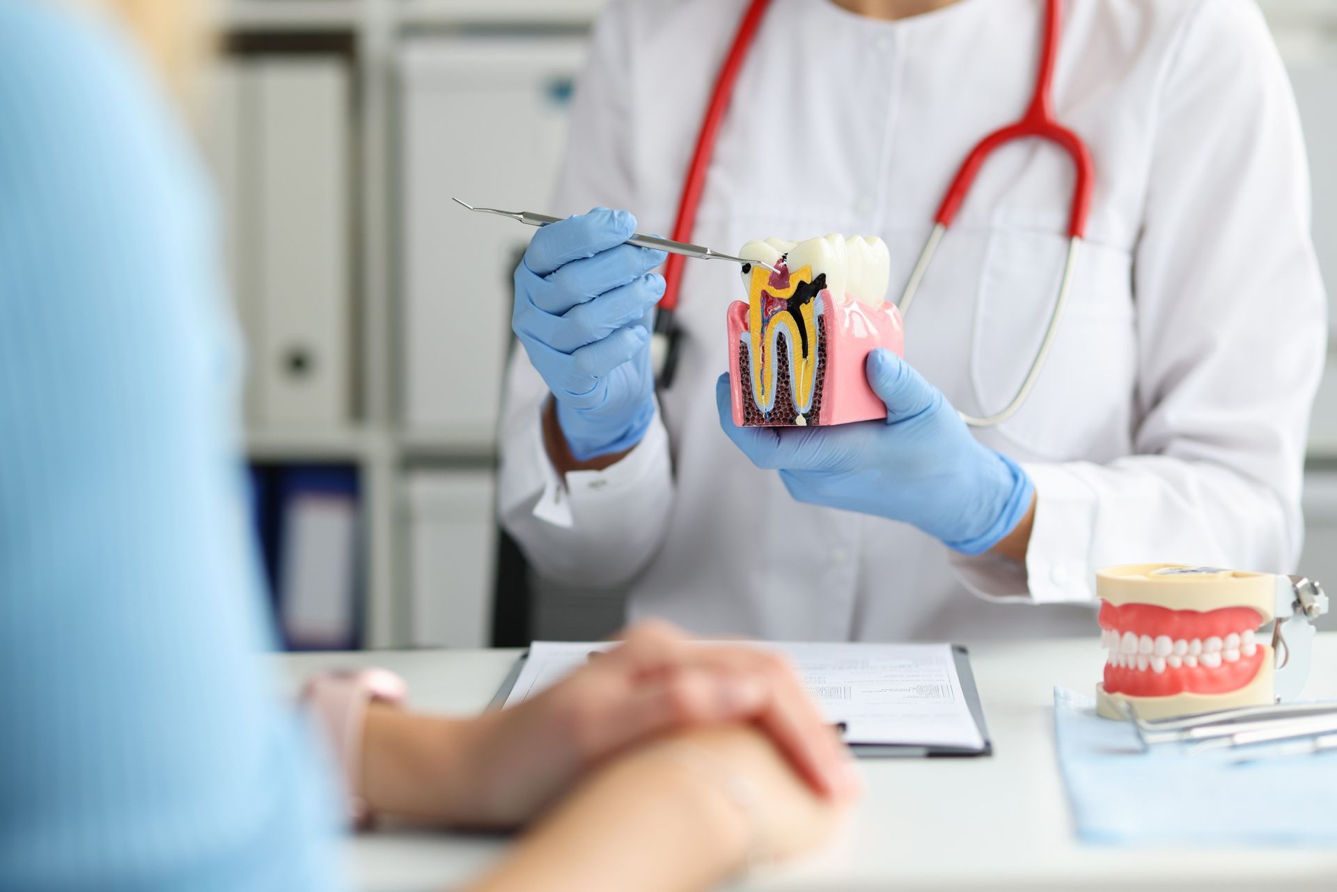Un dentista le muestra un modelo de un diente a un paciente.