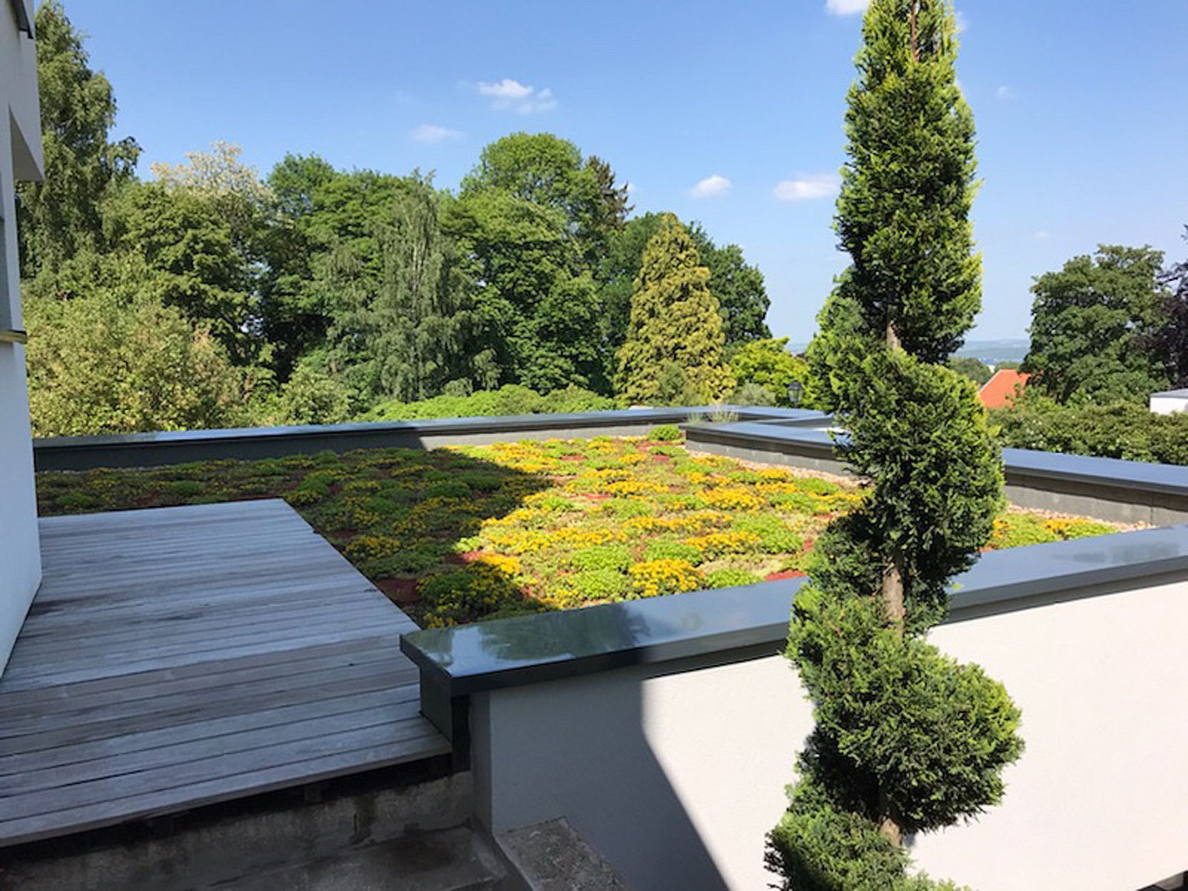 Metz toit végétalisé