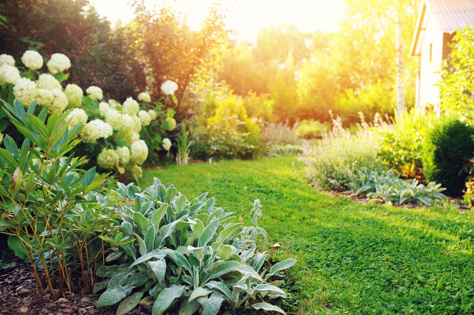 Jardin avec pelouse et plantations