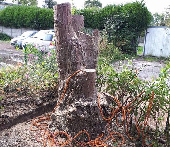 Comment réaliser un dessouchage d’arbre ?