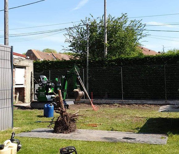Nos conseils pour un dessouchage d’arbre