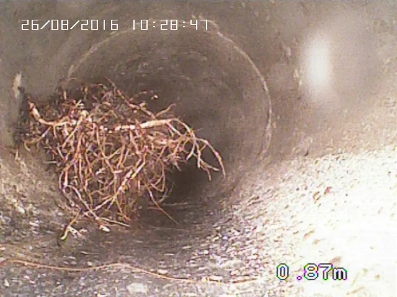 Kanalreinigung Ablauf-Service GmbH Ablaufrohr