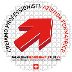logo_ Formazione professionale plus