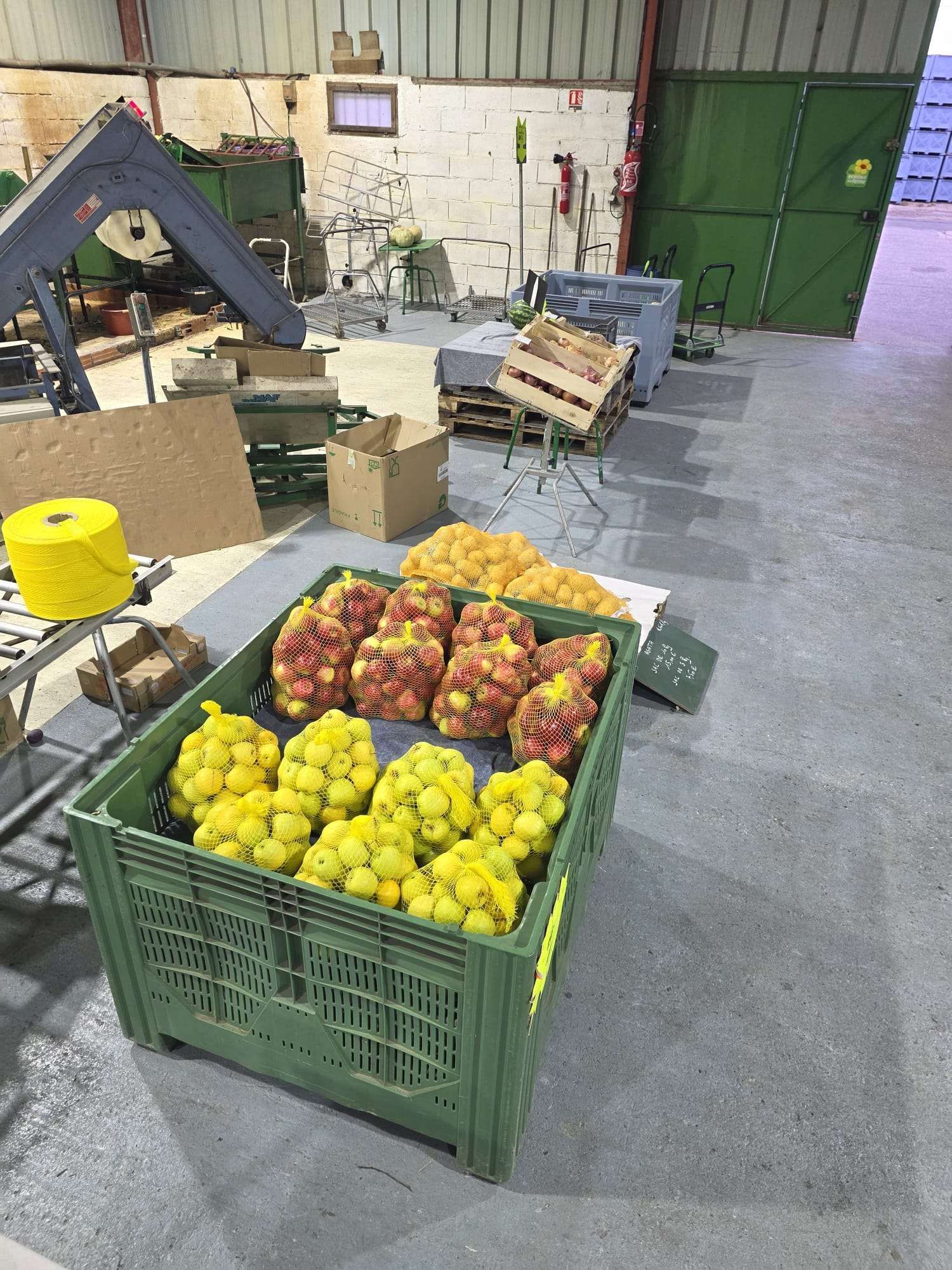 Des caisses vertes remplies de pommes et d’autres fruits dans une allée d’entrepôt, à côté de piles de cartons et de palettes