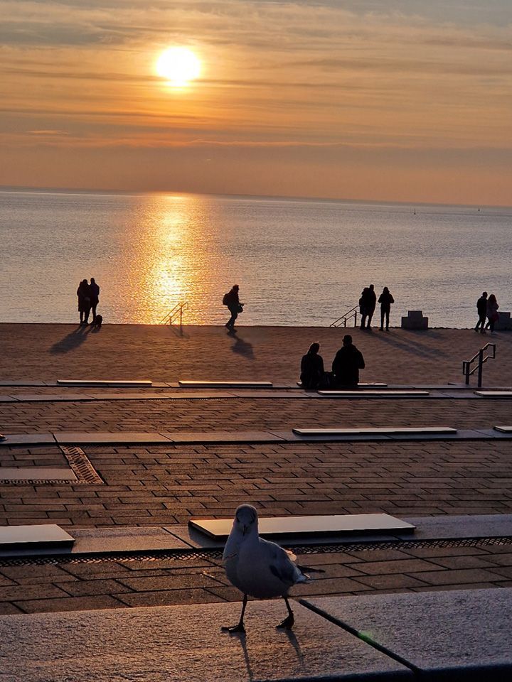 Sonnenuntergang über dem Meer mit silhouettenhaften Menschen auf der Promenade und einer Möwe im Vordergrund