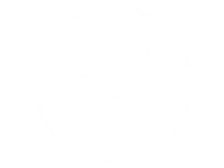 Primer plano de un escarabajo tropical grande y de color oscuro, con un cuerno, posado sobre una hoja verde.