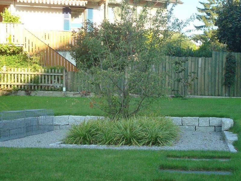 Ein Hinterhof mit einem Zaun und einem Baum in der Mitte. Foto von der Schöni Blumen und Gartenbau GmbH