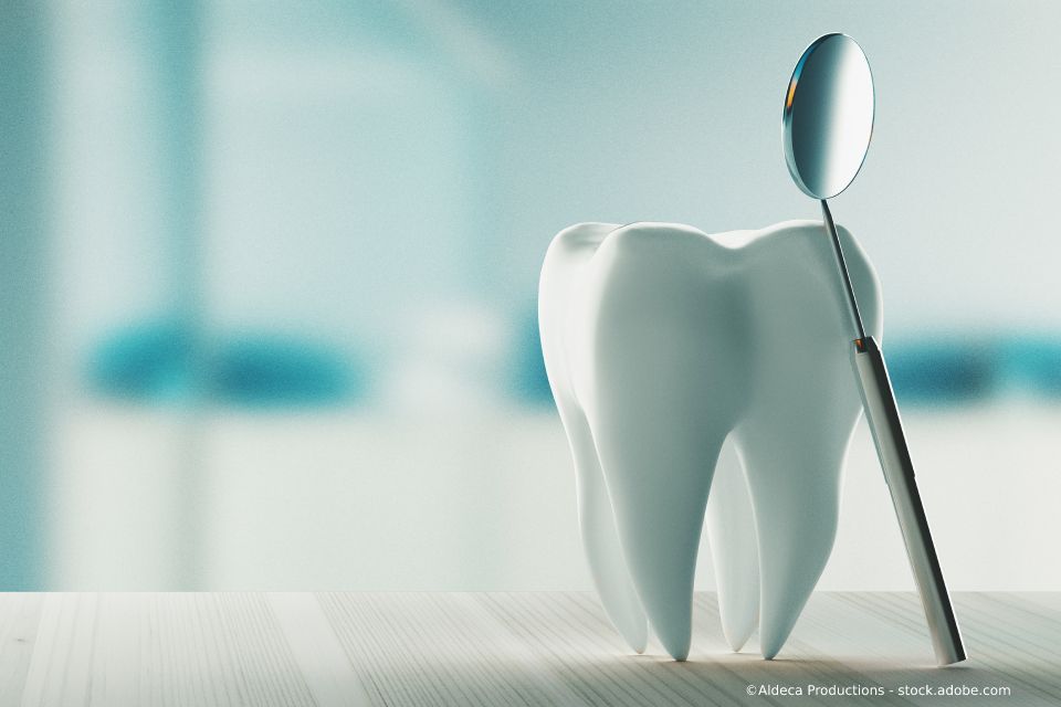 Kunststoffmodellzahn mit Dentallupe