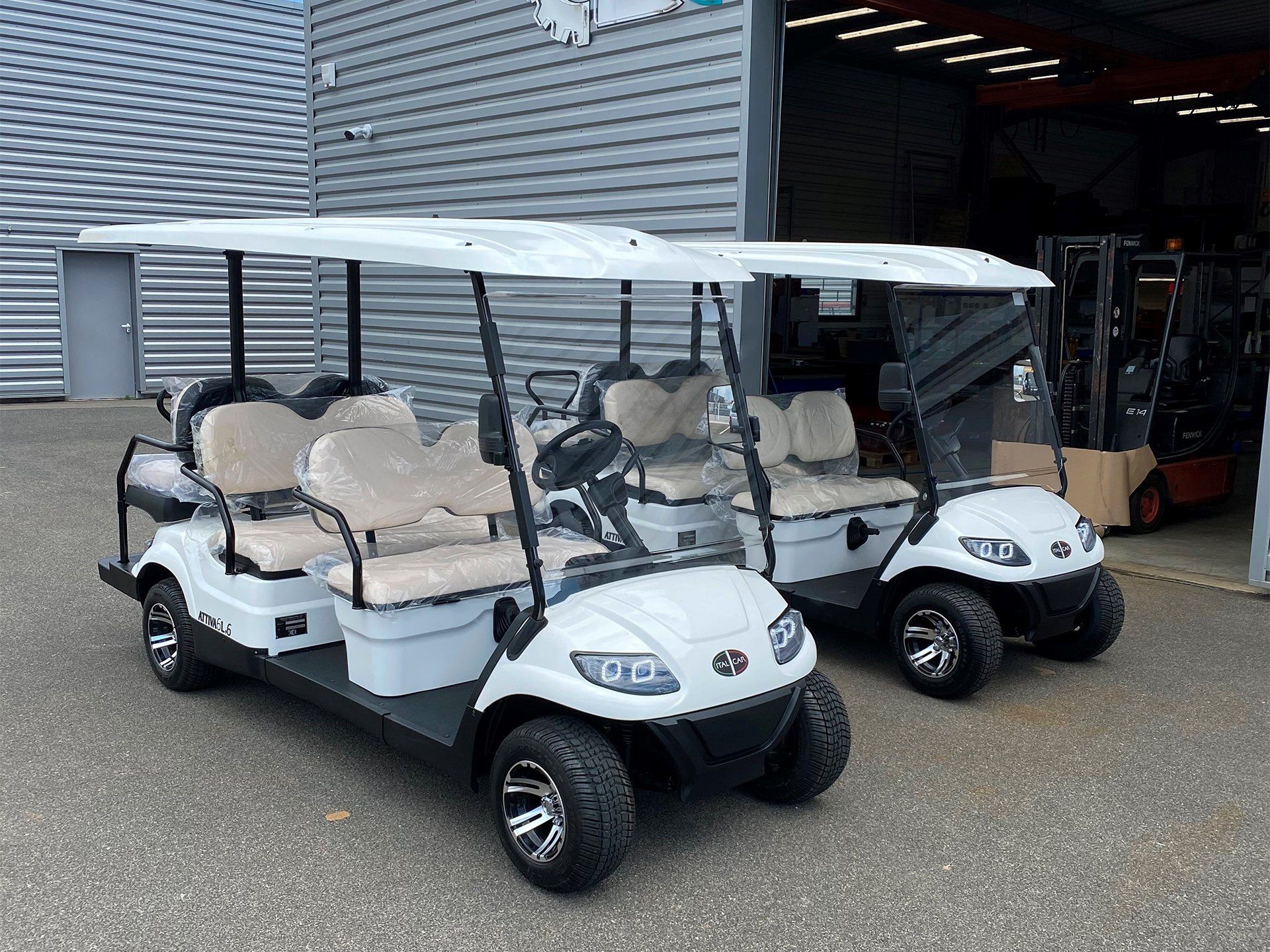 2 golfettes 4 places neuves