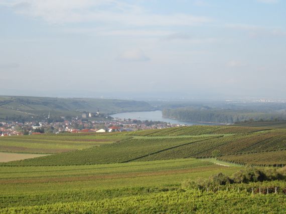 FWG Köngernheim