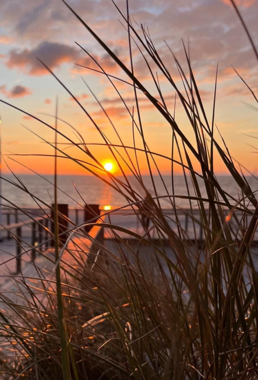 Sonnenuntergang über dem Meer mit Gras im Vordergrund. Orangefarbener Himmel spiegelt sich im Wasser.