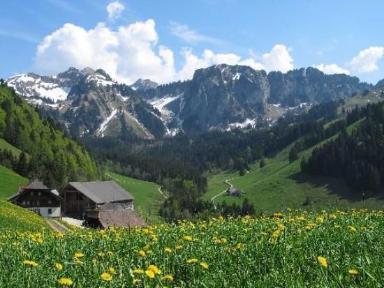 Charmant Petit Chalet***