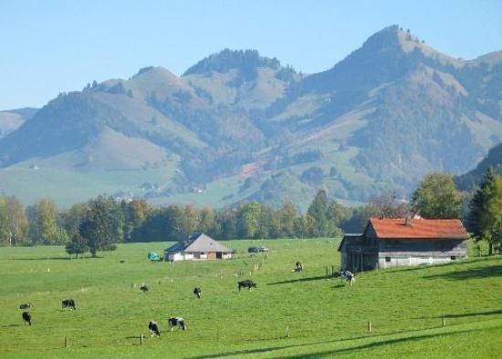 Charmant Petit Chalet***