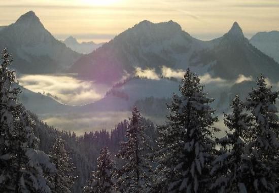 Charmant Petit Chalet***