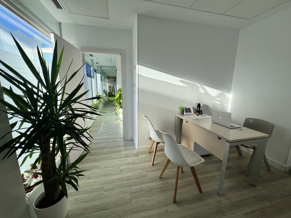 Una habitación con un escritorio, sillas y una planta en maceta.