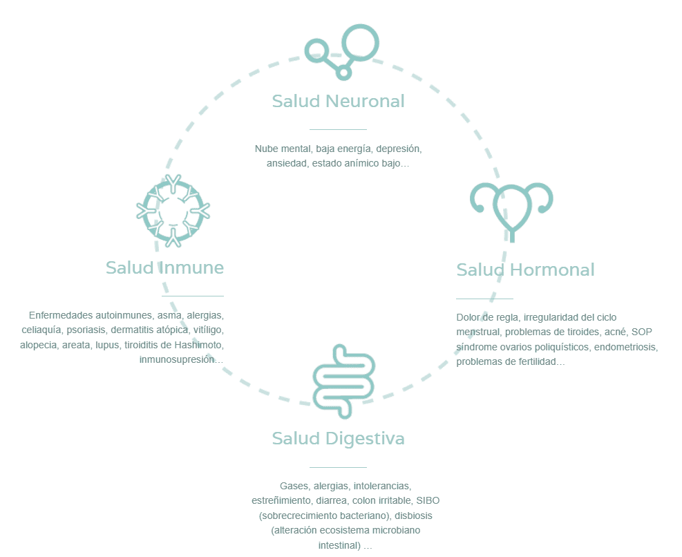 Un diagrama que muestra las etapas de la salud de una persona.