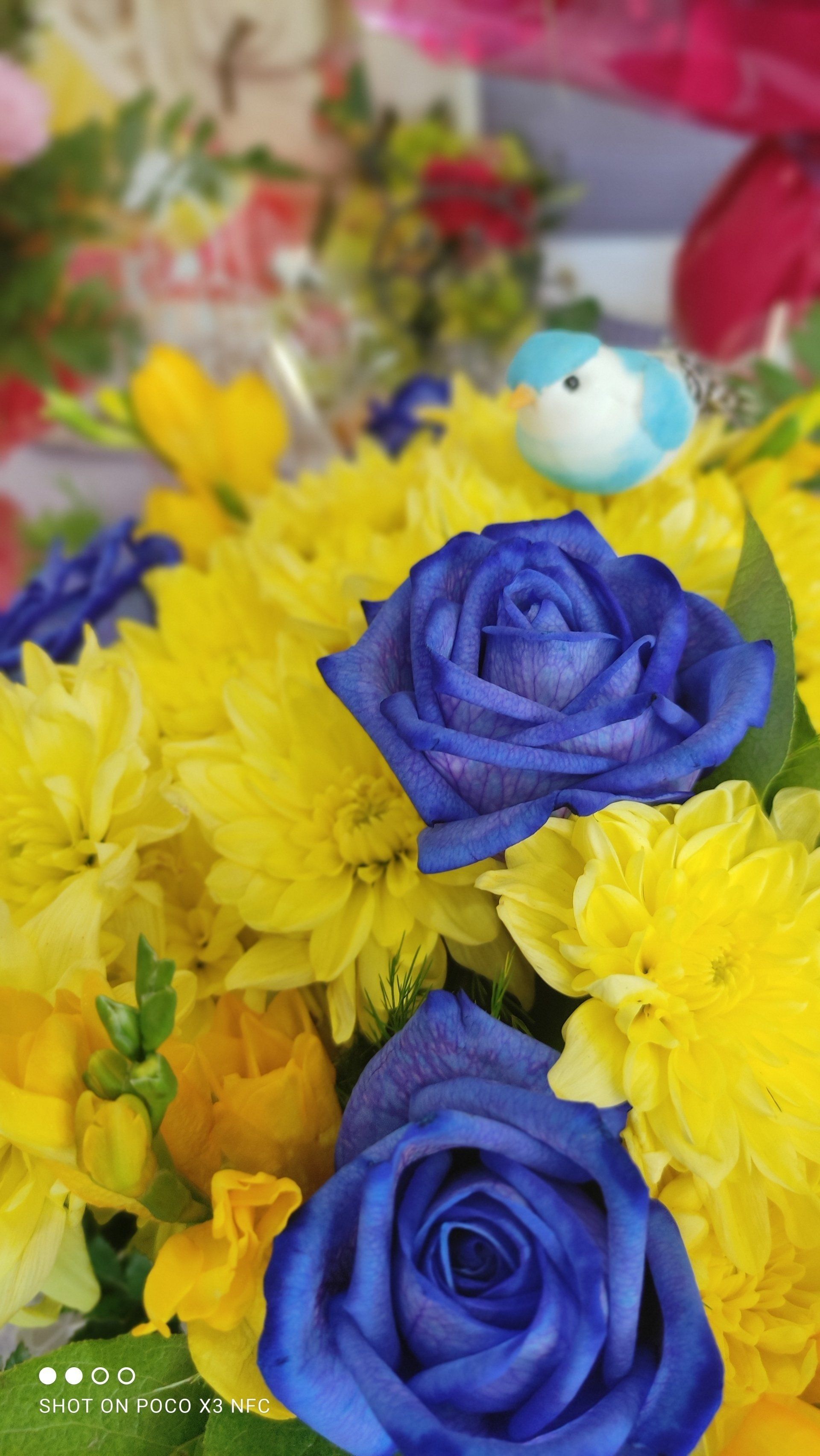Un bouquet de roses et de chrysanthèmes