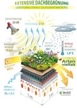 Schaubild zu den Vorteilen extensiver Dachbegrünung