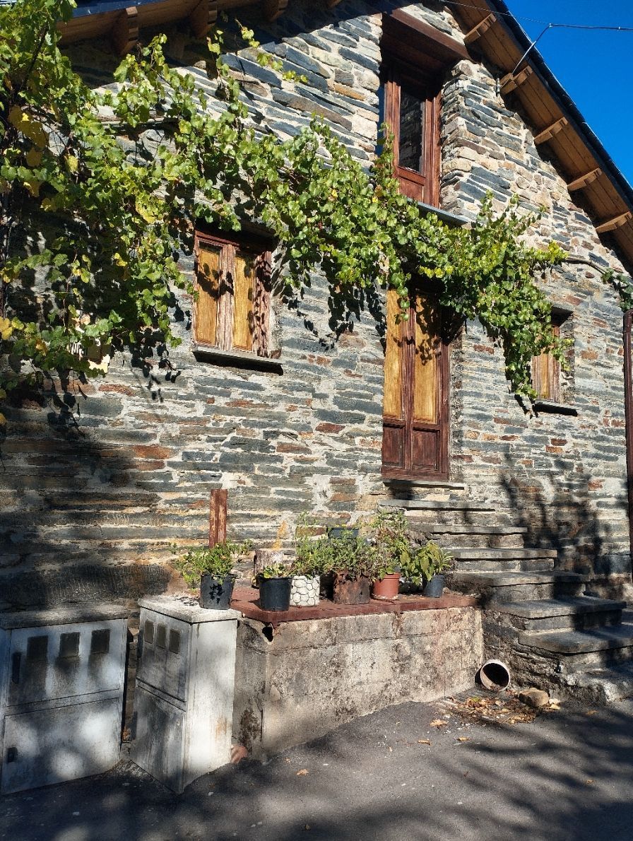 Casa de piedra con ventanas cubiertas de enredaderas. Macetas con plantas adornan un muro bajo.