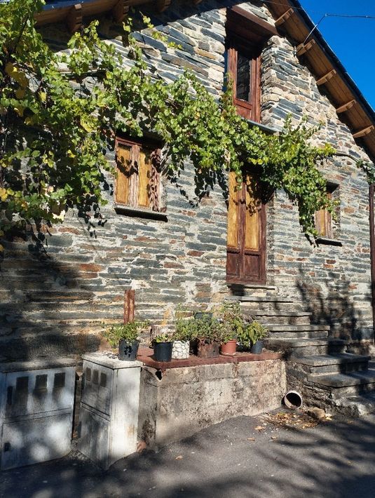 Casa de piedra con ventanas cubiertas de enredaderas. Macetas con plantas adornan un muro bajo.