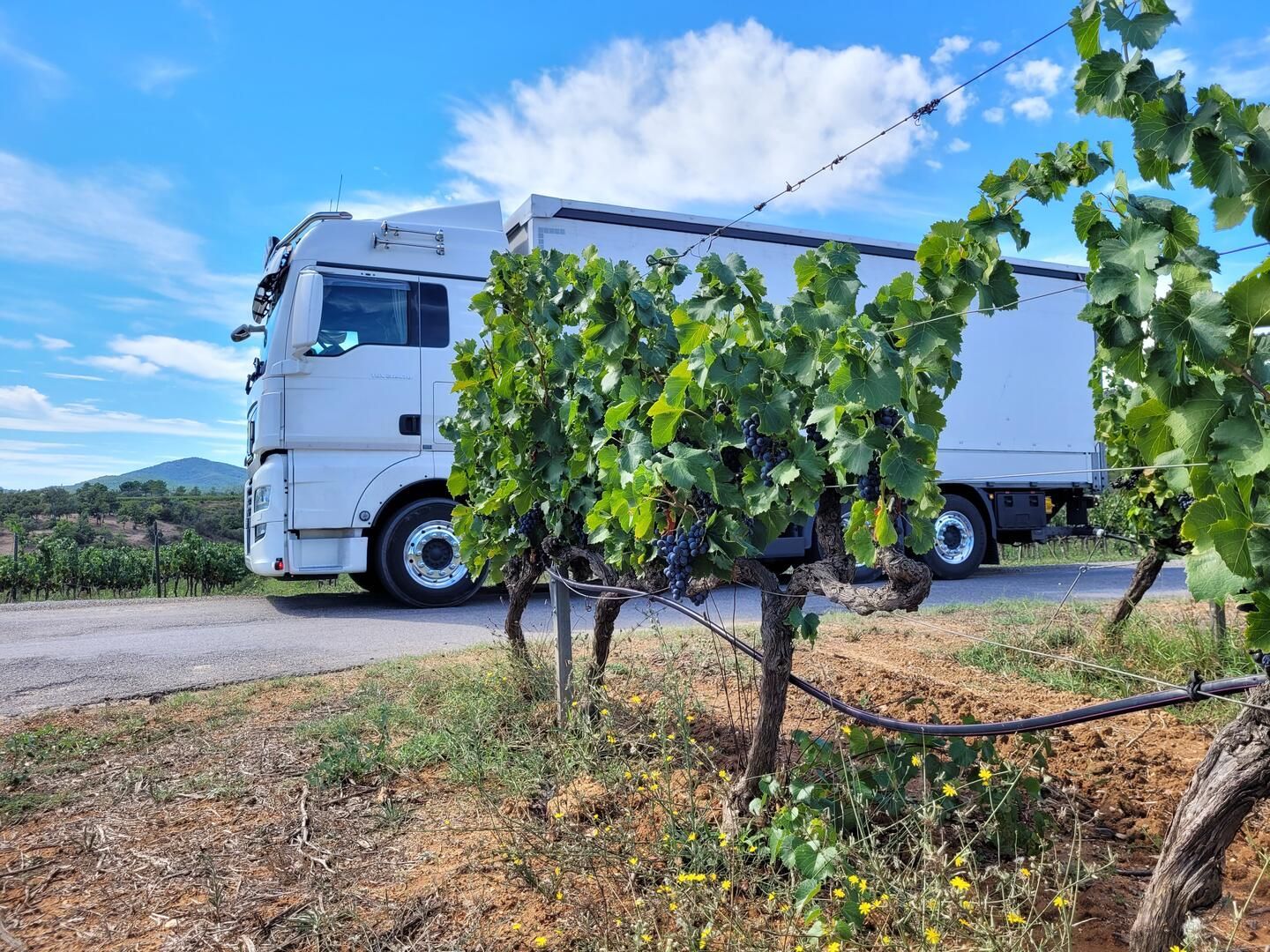 Nationale und internationale Transporte - Vinag-Transporte in Lengnau im Aargau