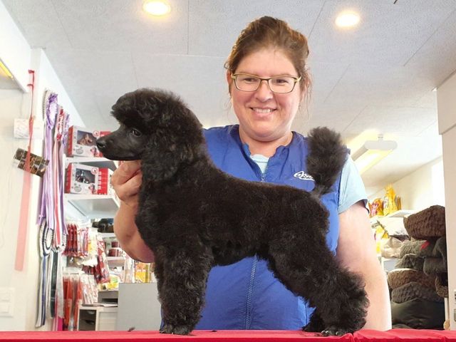 Hundesalon Esprit, Doris Kapferer