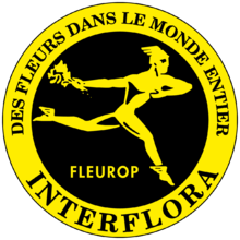 Logo marque Interflora