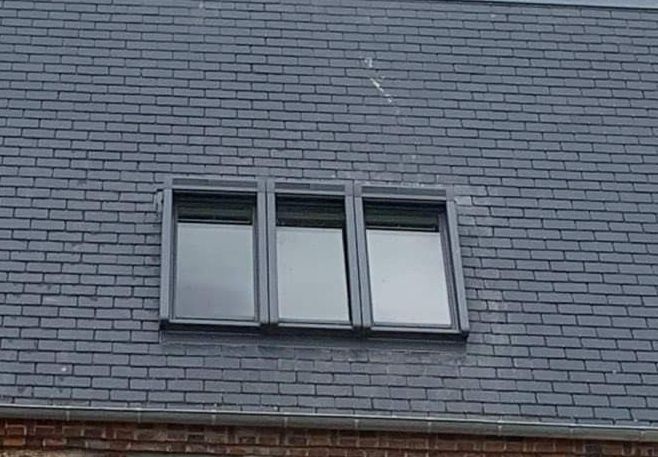 Fenêtre large de toit