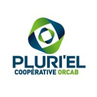 Logo Pluriel