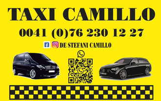 De Stefani Camillo logo