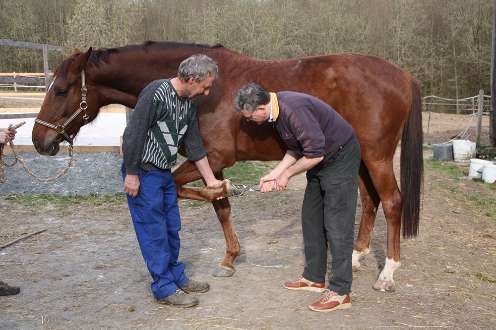 Tierarztpraxis Mußmächer Außenpraxis
