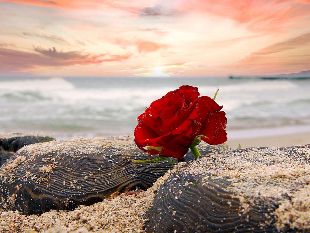 Landschaft Meer Trauerfall