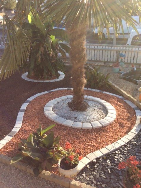 Contours d'arbres / pavés plate-bande