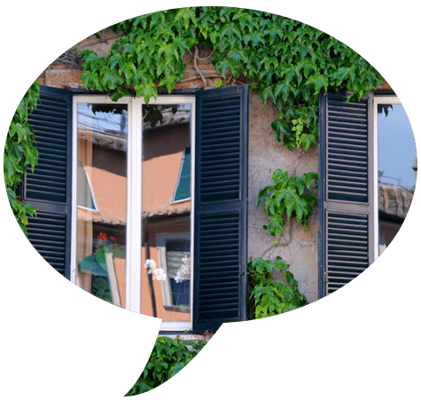 Fenêtre réfléchissante avec volets sombres et lierre vert sur un bâtiment en briques