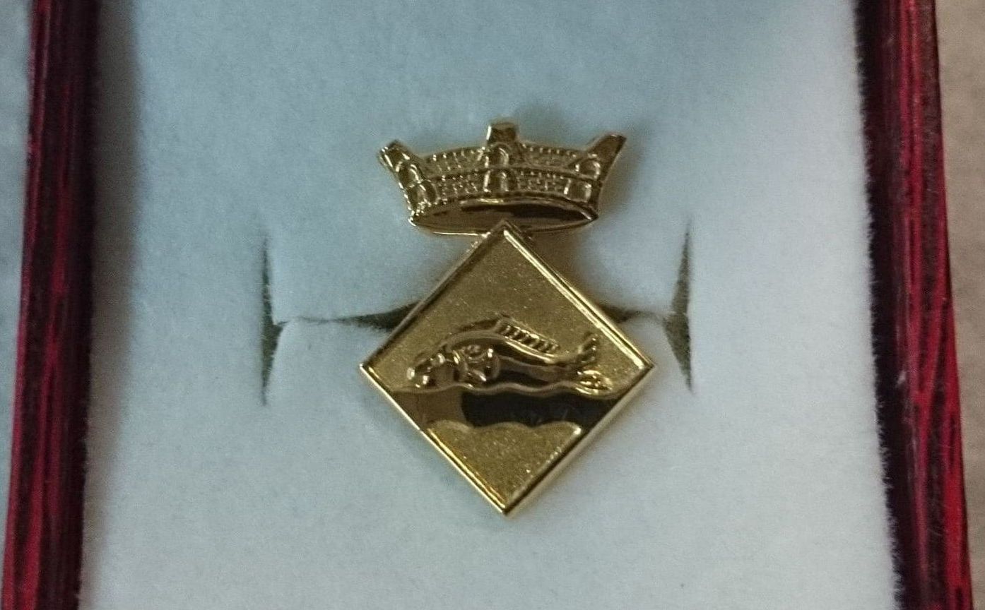 Un broche de oro con una corona encima.