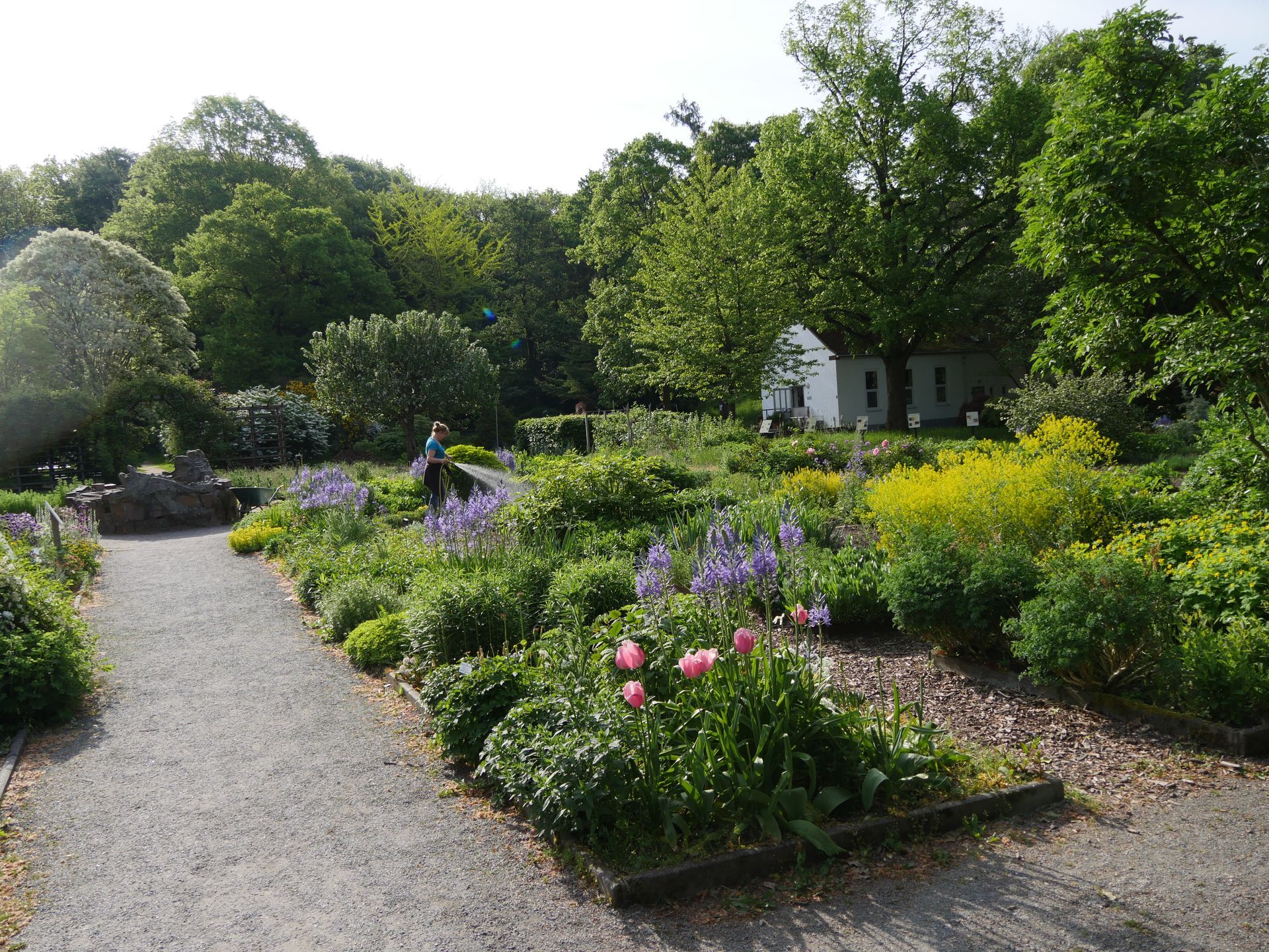 Ein Gartenweg aus Kies mit bunten Blumenbeeten und üppigem Grün neben einem kleinen weißen Häuschen