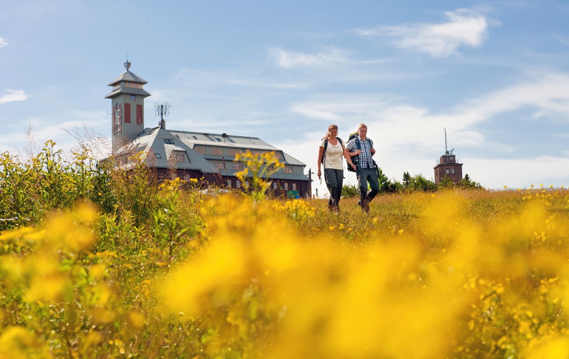 Menschen spazieren in Oberwiesenthal durch gelbe Wildblumen auf ein historisches Gebäude zu unter blauem Himmel