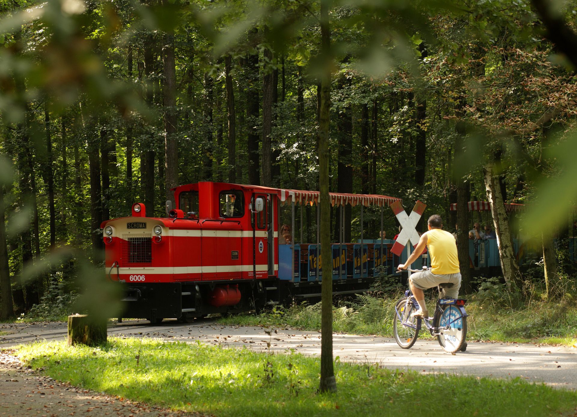 Ein roter Zug überquert einen Waldweg, während ein Radfahrer am Bahnübergang wartet