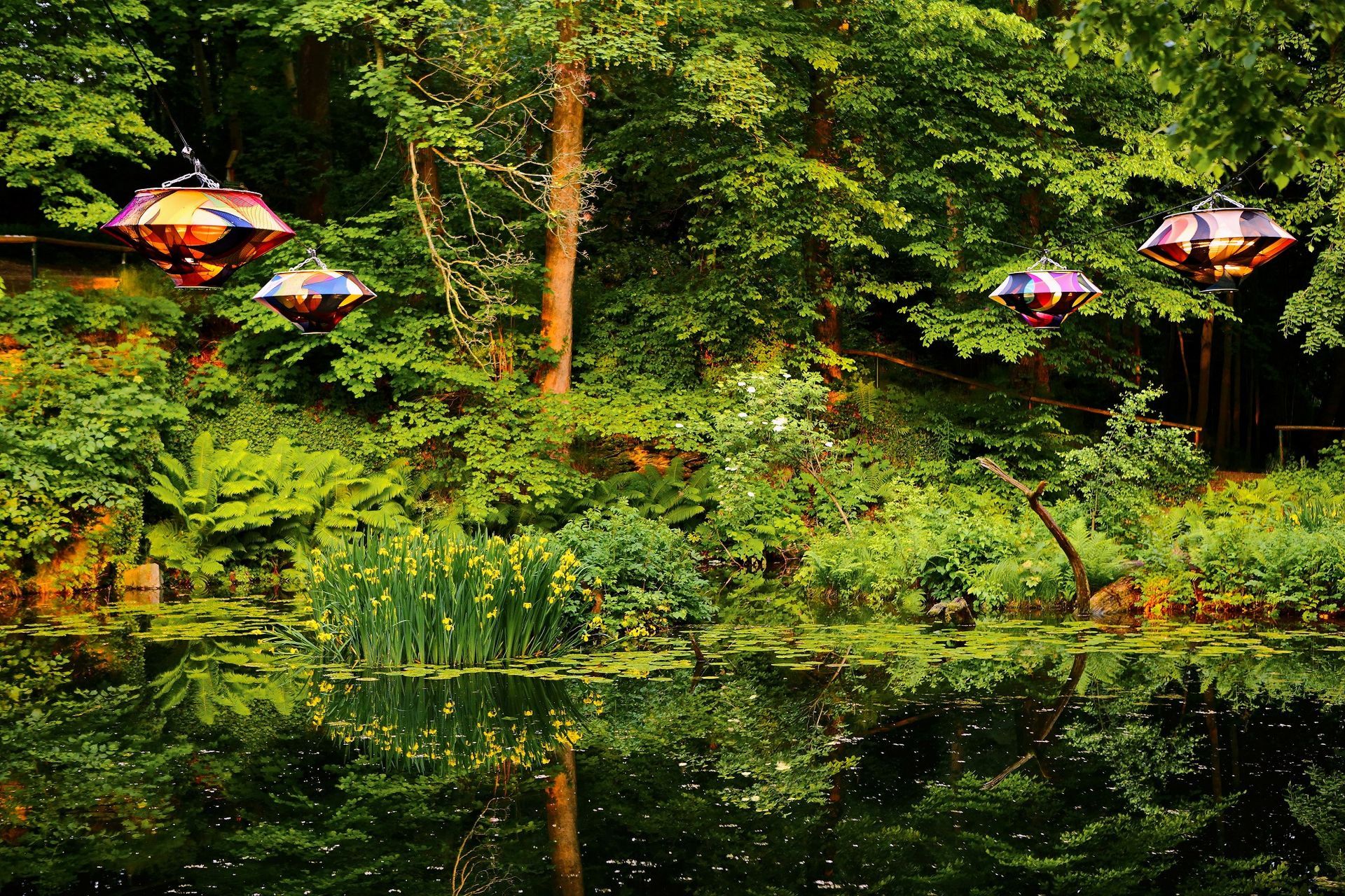 Purple Path_Zwönitz_Color Floating_Die Installation erinnert an Sommerfeste unter Laternen_Fotograf