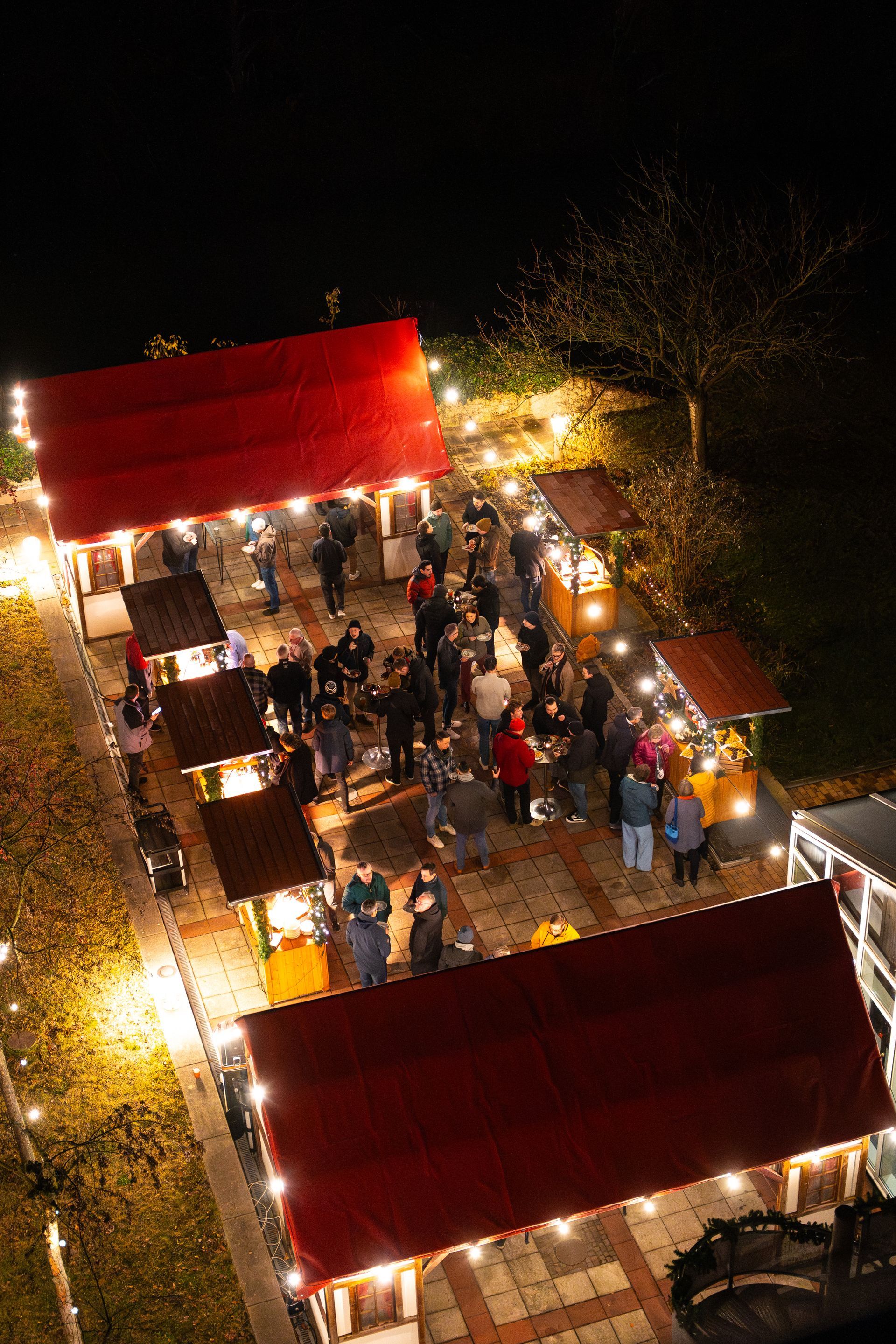A hand points to a red gemstone on a decorated Christmas tree.