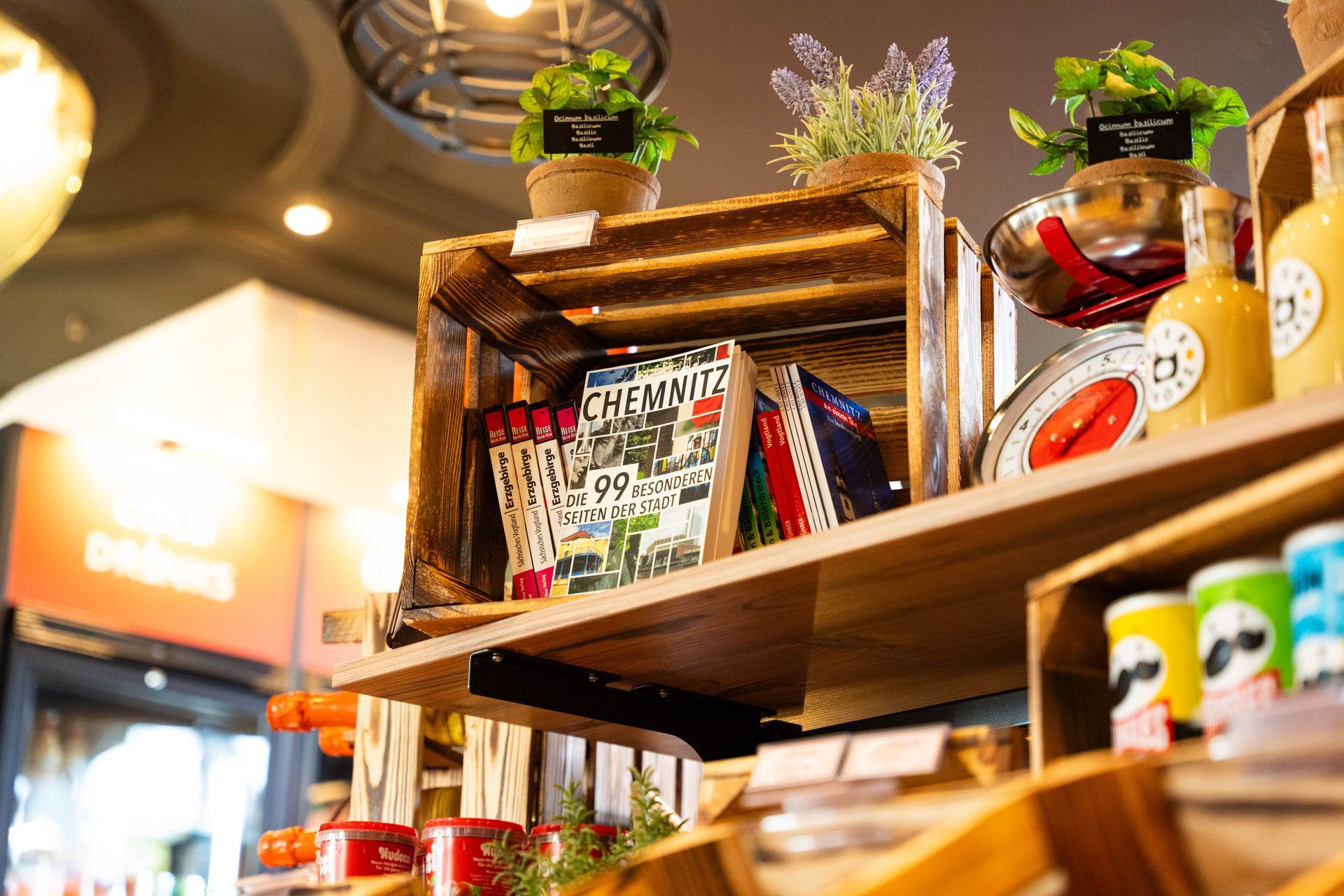 Holtelshop  im c/o56 Chemnitz mit Topfpflanzen, Büchern und Gläsern in einem warmen, gemütlichen Ladeninterieur
