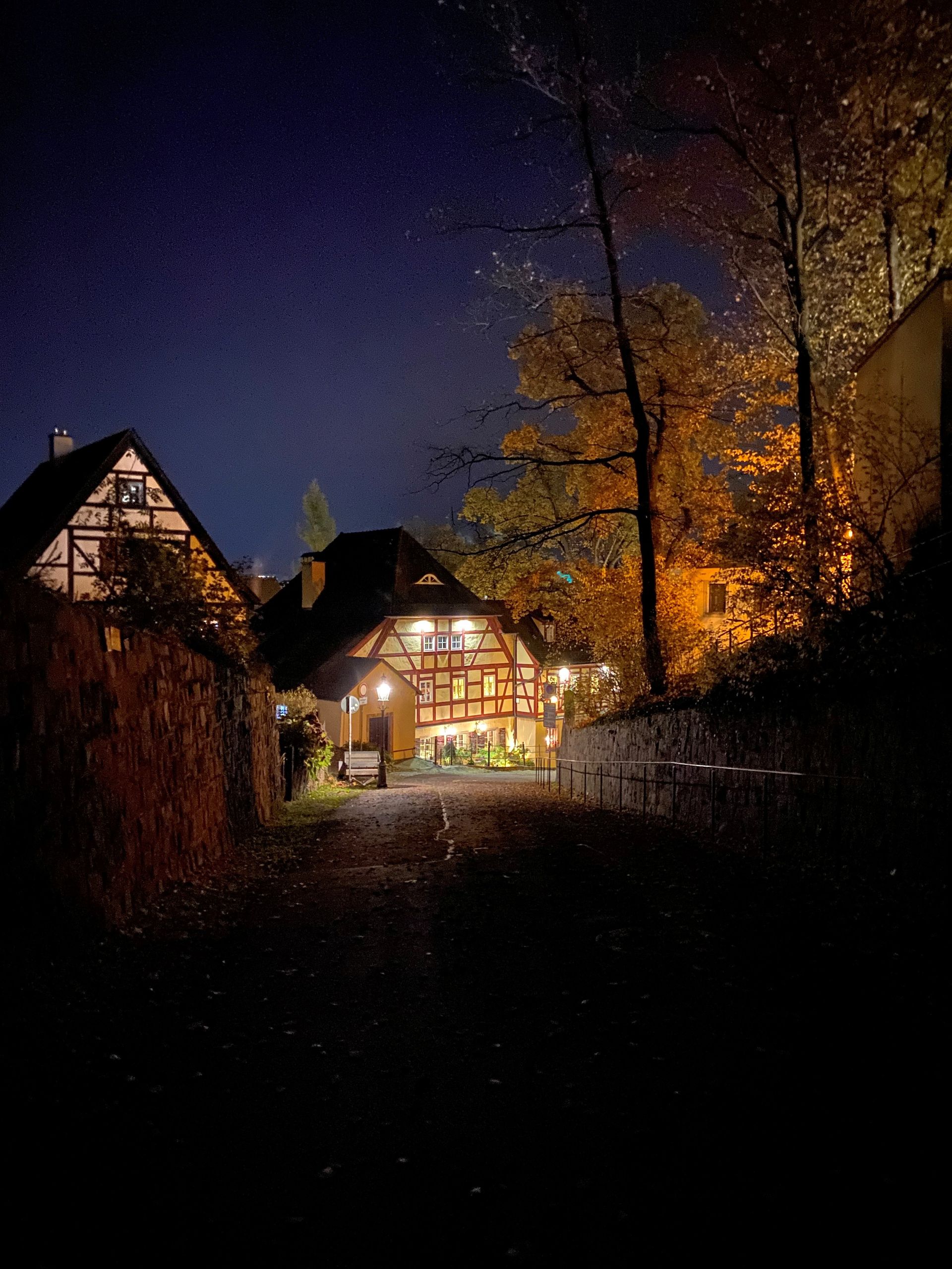 Nachtansicht von Fachwerkhäusern und herbstlichen Bäumen, die unter einem dunkelblauen Himmel von Licht erhellt werden.