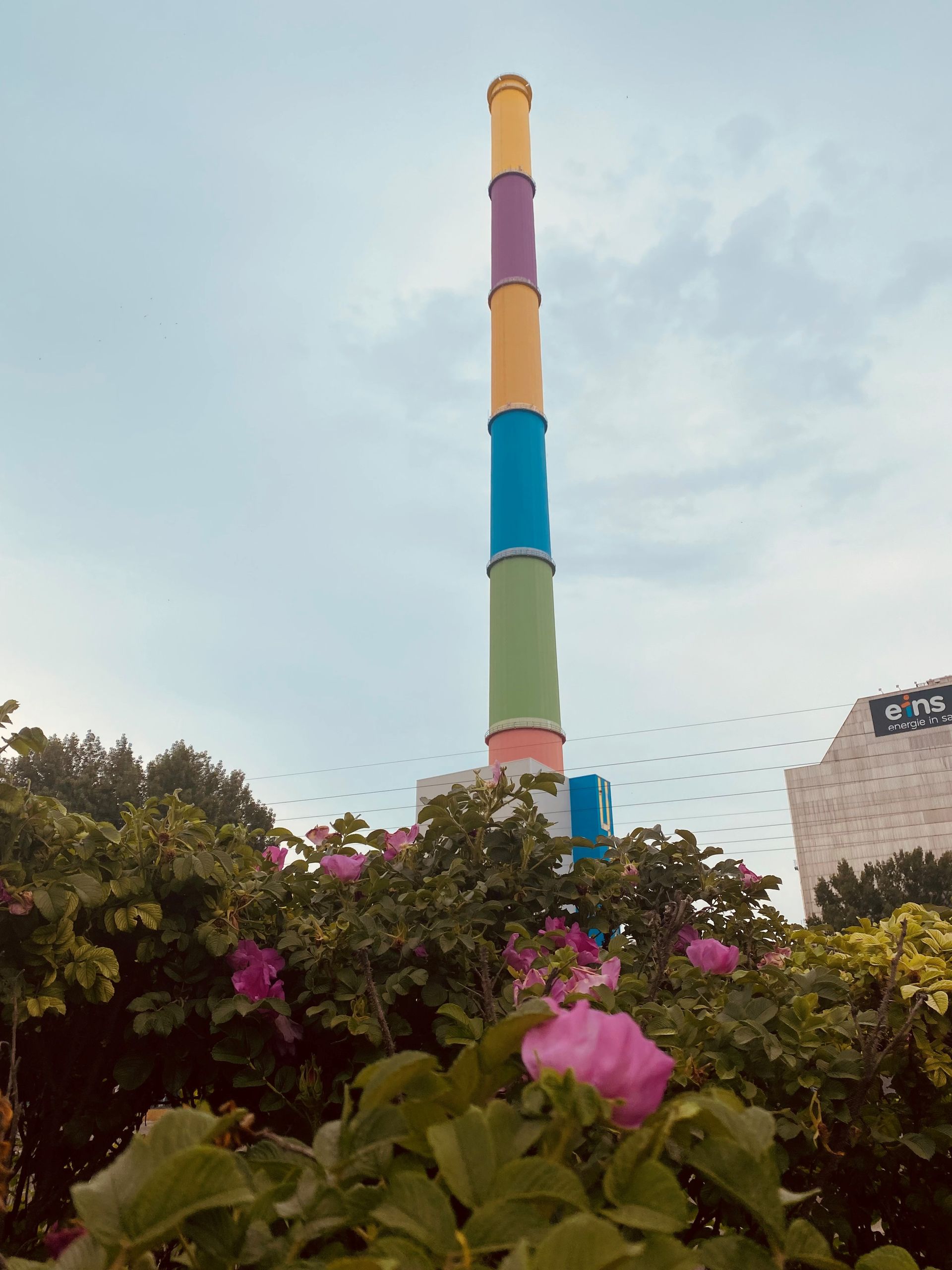 Ein farbenfrohe, gestreifte Esse erhebt sich über rosa Blüten vor einem bewölkten Himmel