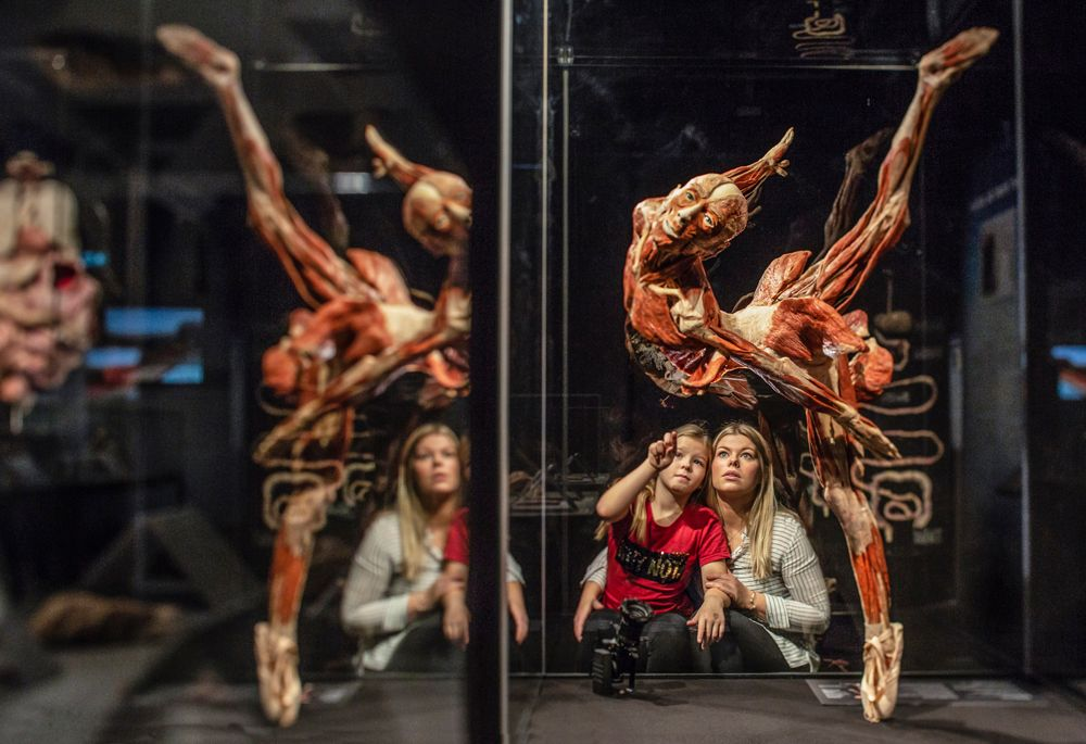 Frau und Kind betrachten den plastinierten Körper einer Tänzerin, gespiegelt in einer Glasvitrine.