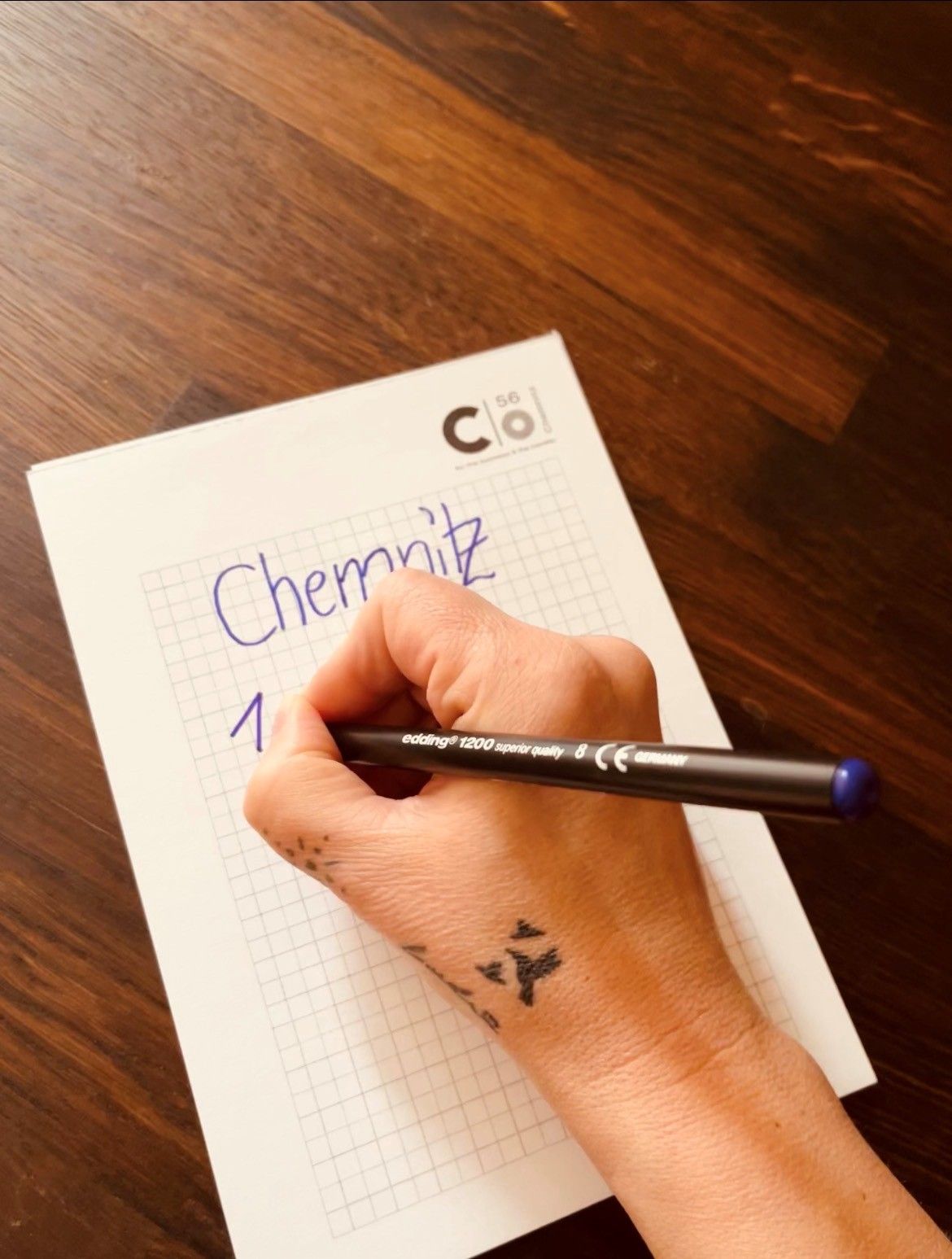 Luftaufnahme einer Stadt mit See, Bäumen und Gebäuden. Der Himmel ist teilweise bewölkt.