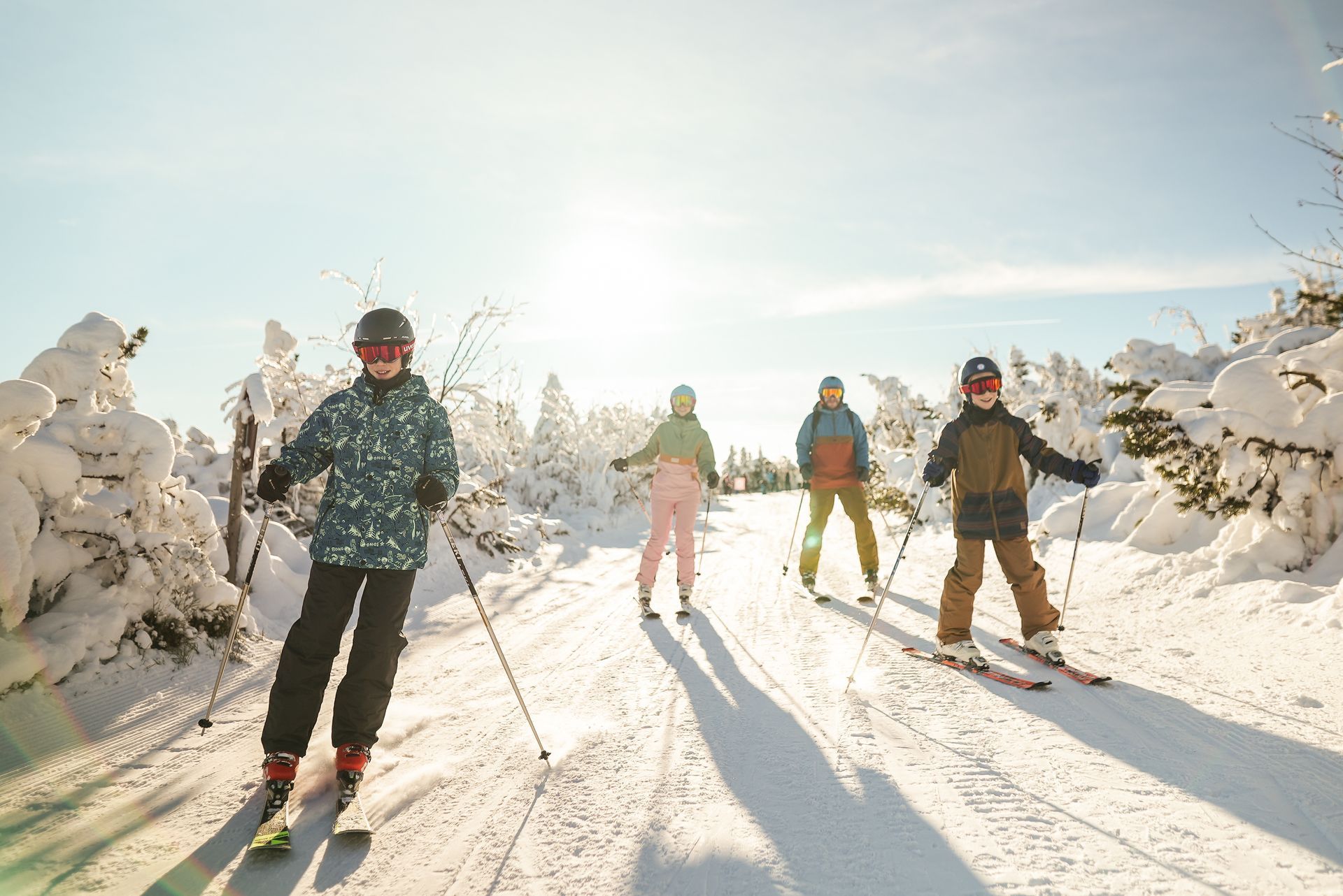 Vier Skifahrer auf einer sonnigen, schneebedeckten Piste, die von Bäumen gesäumt ist.