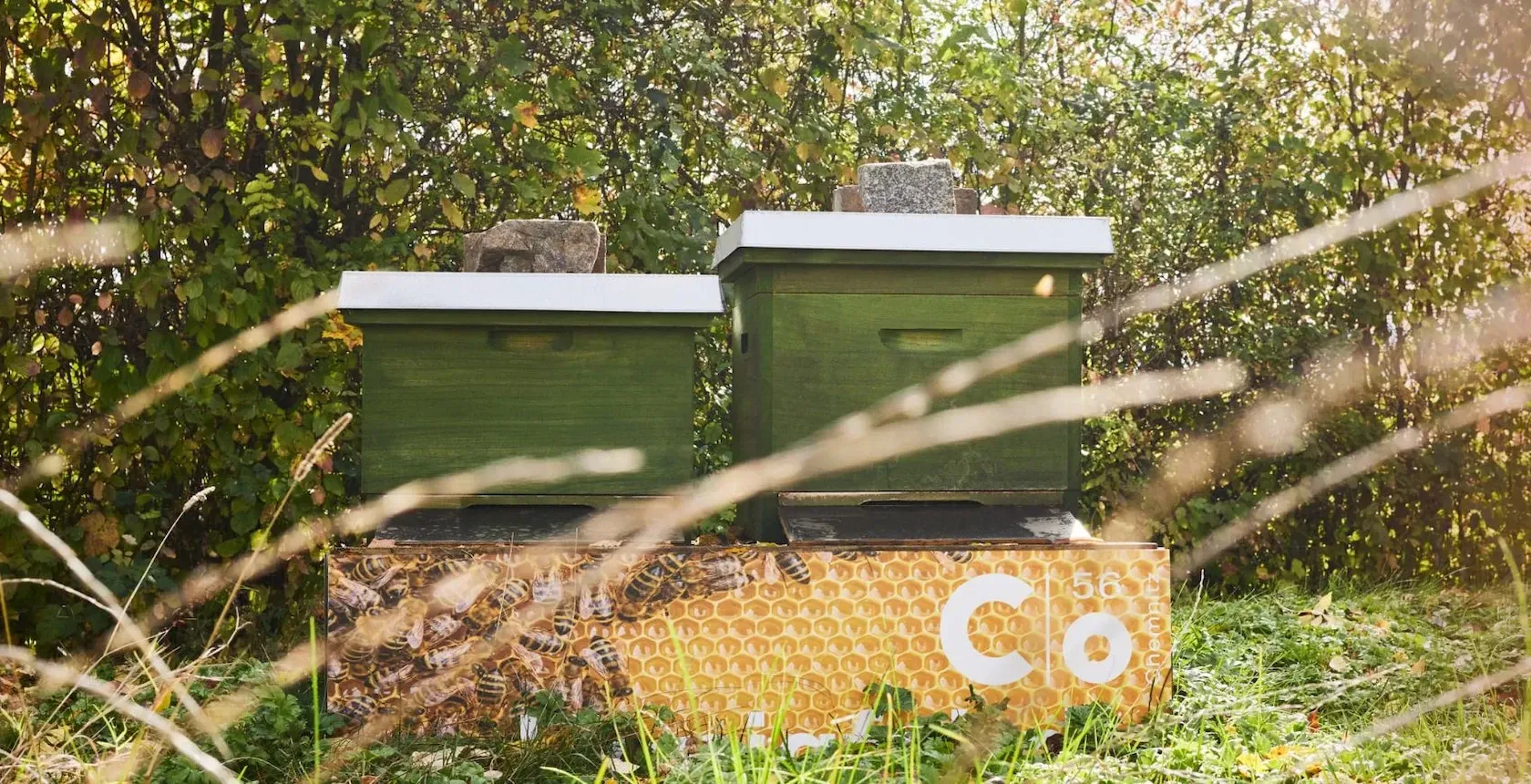 Zwei grüne Bienenstöcke in sonniger Freiluftkulisse mit hohem Gras im Vordergrund.
